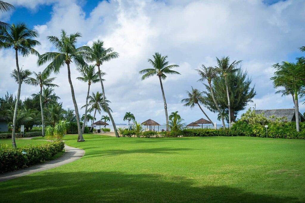 Project 5 pexels noodles 5451077